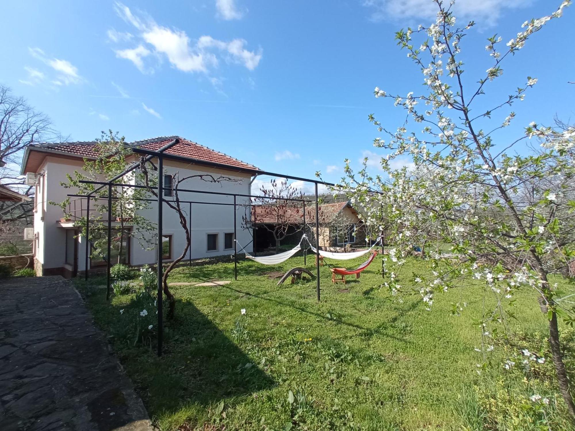 Guest House Art Eco Land Ganchovets Екстериор снимка